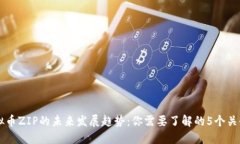 虚拟币ZIP的未来发展趋势