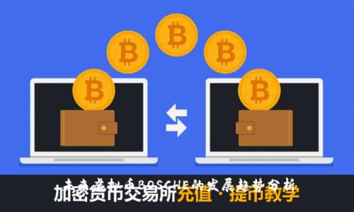 未来虚拟币BOSCHE的发展趋势分析