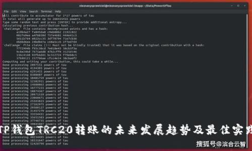 TP钱包TRC20转账的未来发展趋势及最佳实践