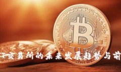 探讨TYT交易所的未来发展