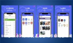 BGD虚拟币的未来发展趋势