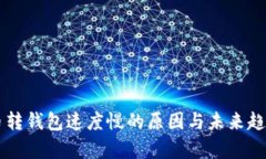 虚拟币转钱包速度慢的原