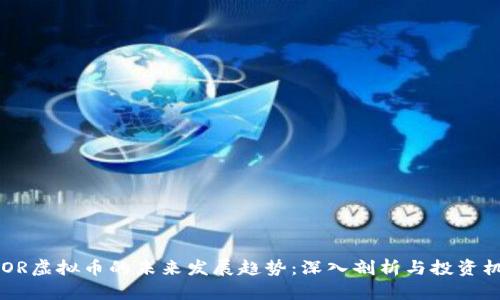 BLOR虚拟币的未来发展趋势：深入剖析与投资机会