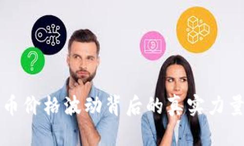 ### 揭秘虚拟币价格波动背后的真实力量与未来发展趋势