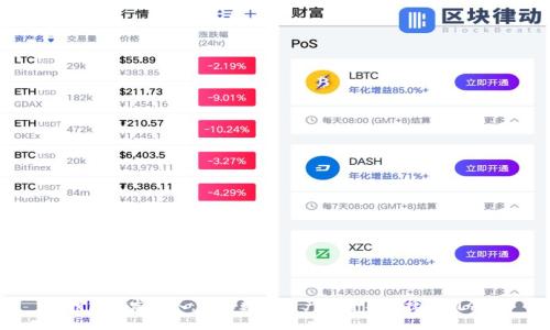 TP钱包开发团队：未来数字资产安全与便捷的引领者