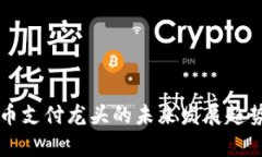 虚拟币支付龙头的未来发