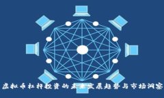 虚拟币杠杆投资的未来发