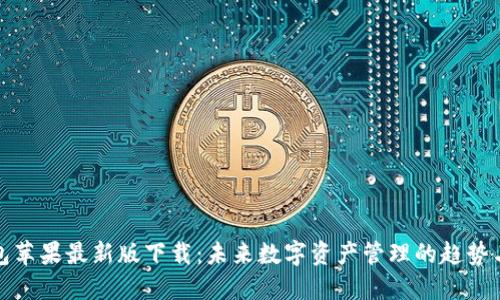 TP钱包苹果最新版下载：未来数字资产管理的趋势与发展