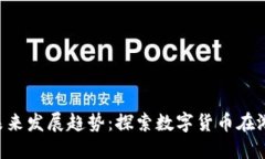 R星虚拟币的未来发展趋势