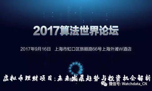 虚拟币理财项目：未来发展趋势与投资机会解析