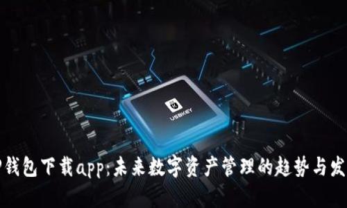 TP钱包下载app：未来数字资产管理的趋势与发展