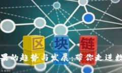 未来虚拟币送糖果的趋势与发展：带你走进数字