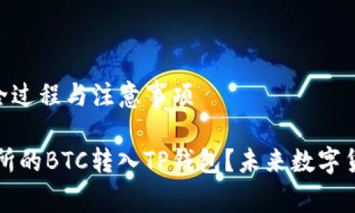 火币BTC转入TP钱包的全过程与注意事项

如何愉快地将火币交易所的BTC转入TP钱包？未来数字货币钱包发展的趋势分析